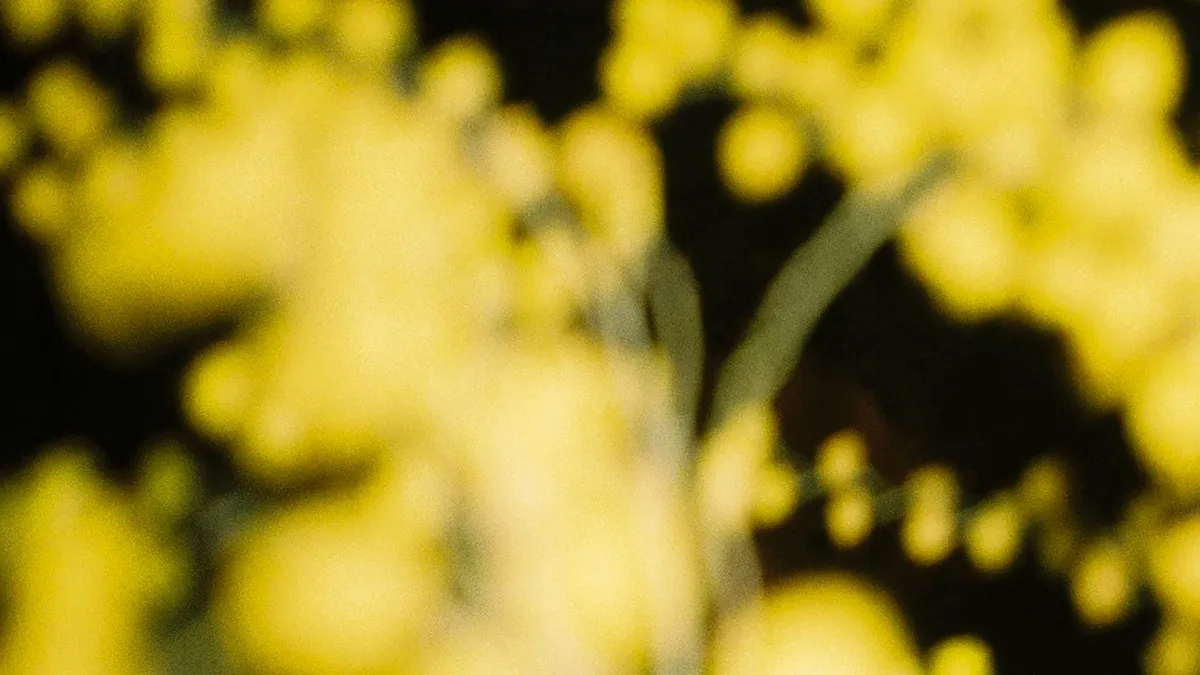 Parra for Cuva in Uvita, 23 February | Event in San Ramon | AllEvents