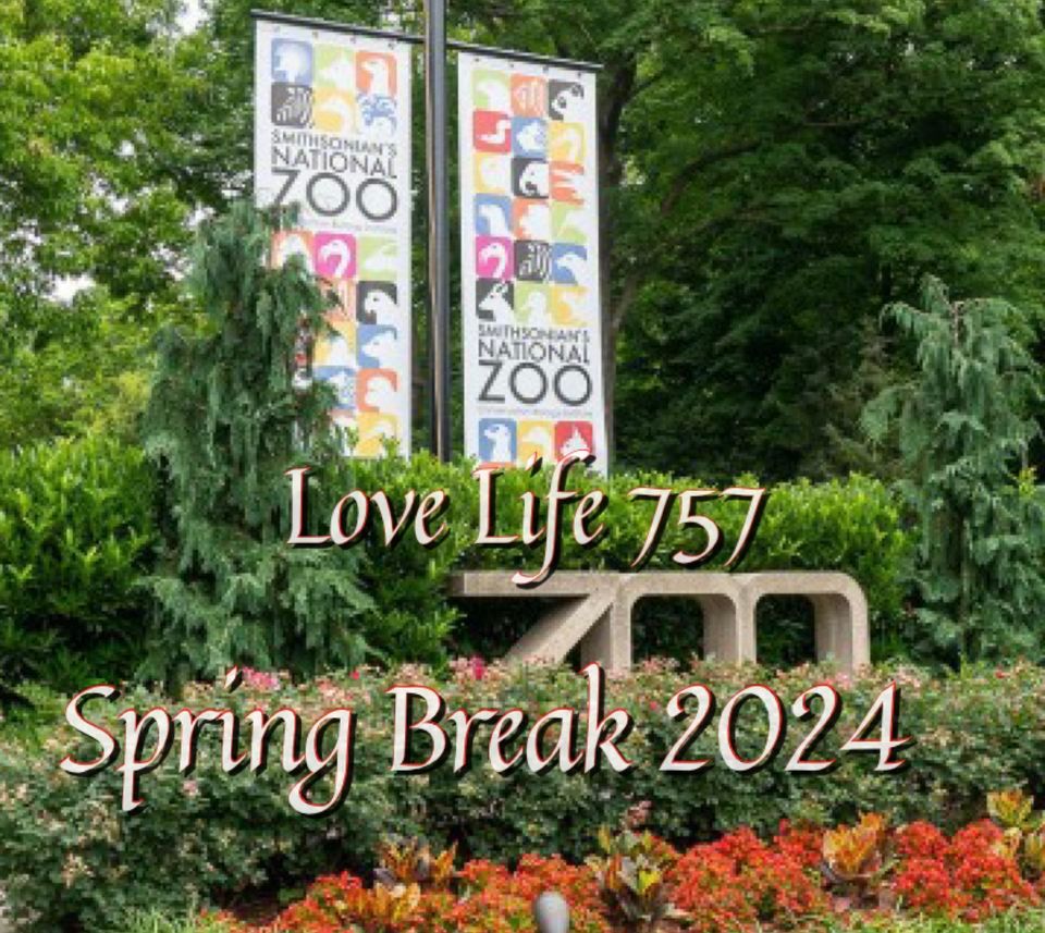 National Zoo Spring Break 2024, National Zoo, Bailey's Crossroads