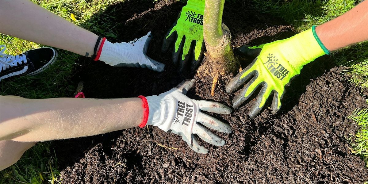 Otsego County Park Community Tree Planting, 27 September | Event in Otsego | AllEvents
