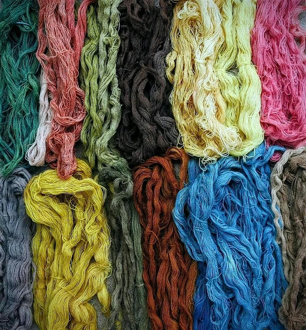 Mushroom & Lichen Dyes | Event in Portland | AllEvents