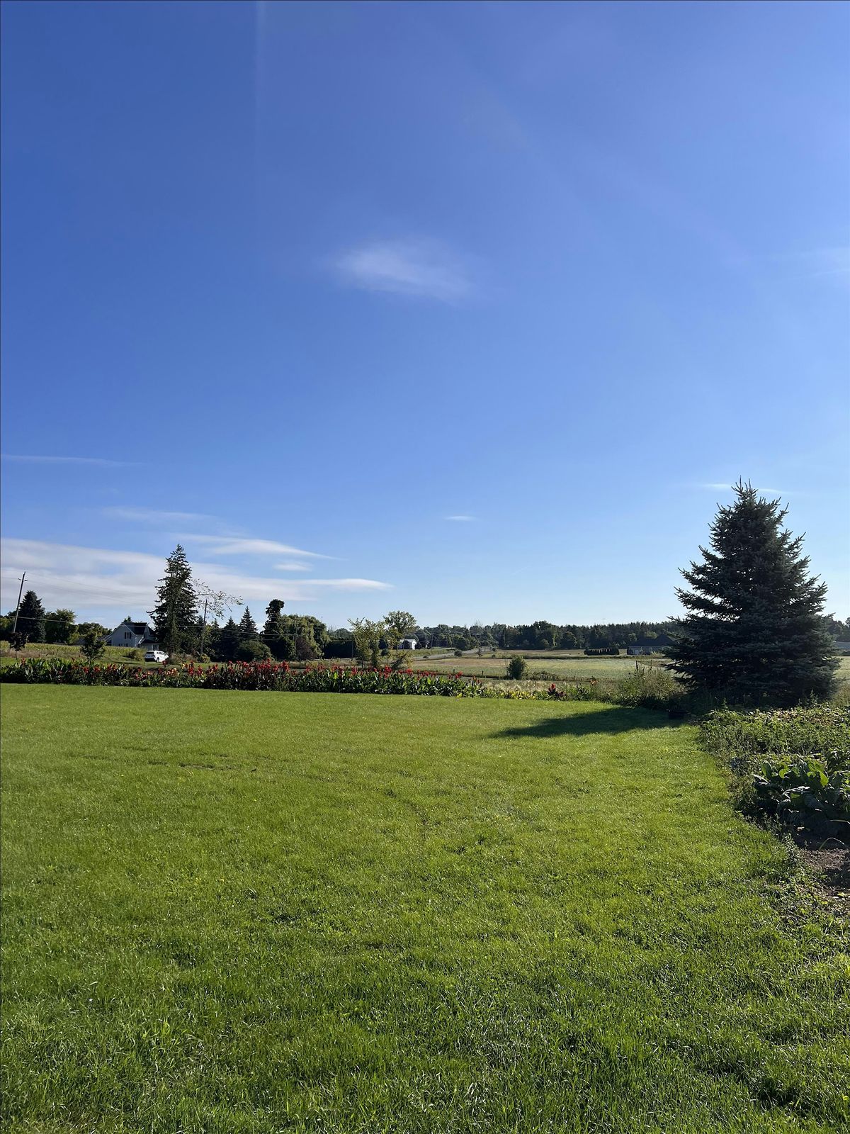 Field and Flow, 4 October | Event in Georgina | AllEvents
