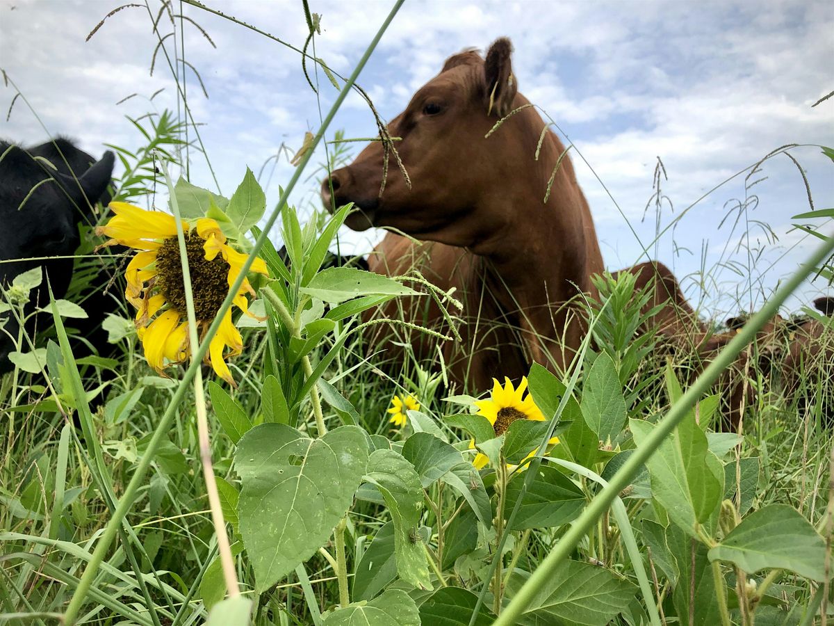 Hands-On Holistic Management, 6 August | Event in Perryville | AllEvents