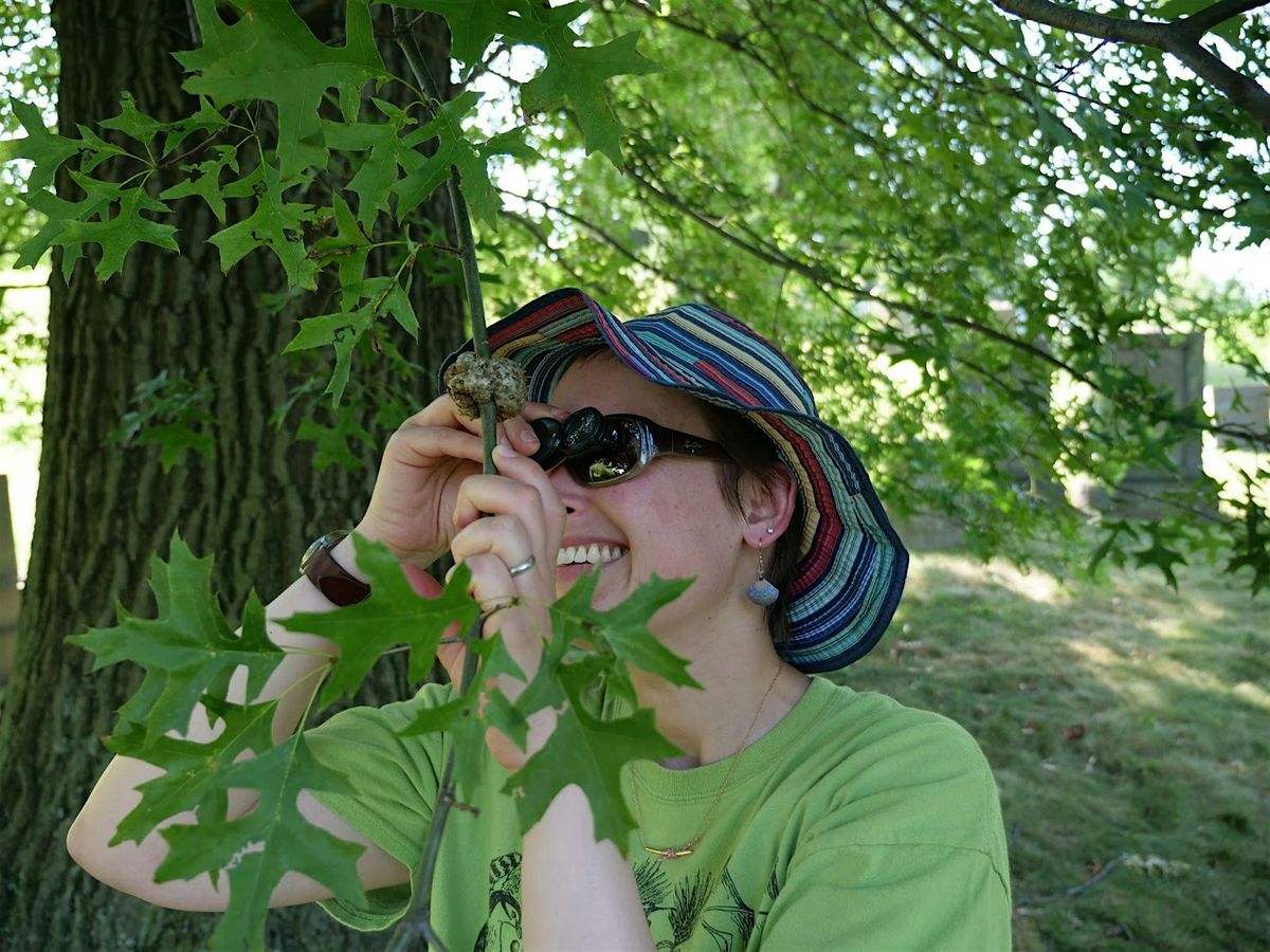 Chemistry in the Canopy: A Walk with Green-Wood’s Research Fellows, 18 October | Event in Brooklyn | AllEvents