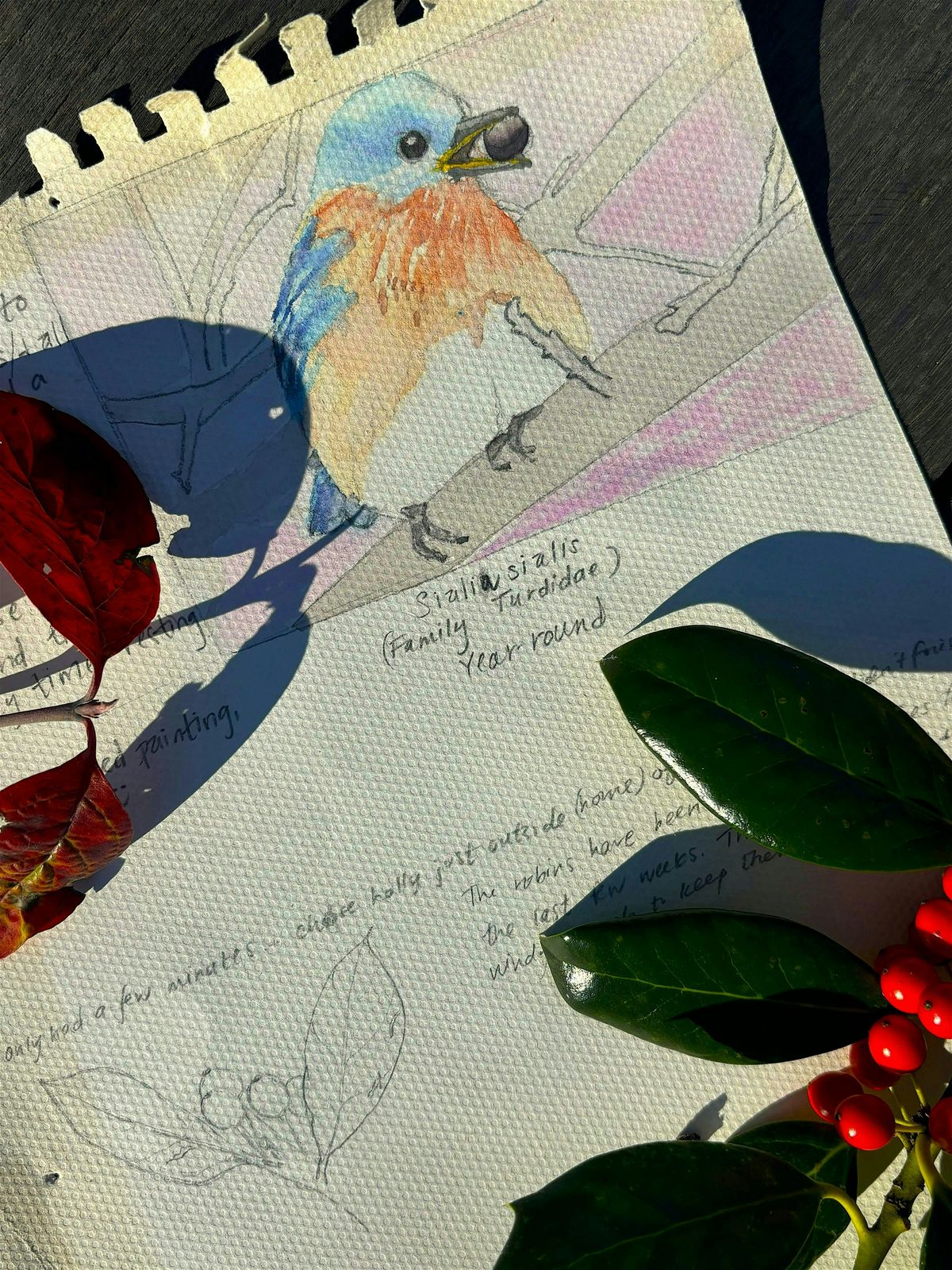 Introduction to Nature Journaling, 25 August | Event in Clemson | AllEvents