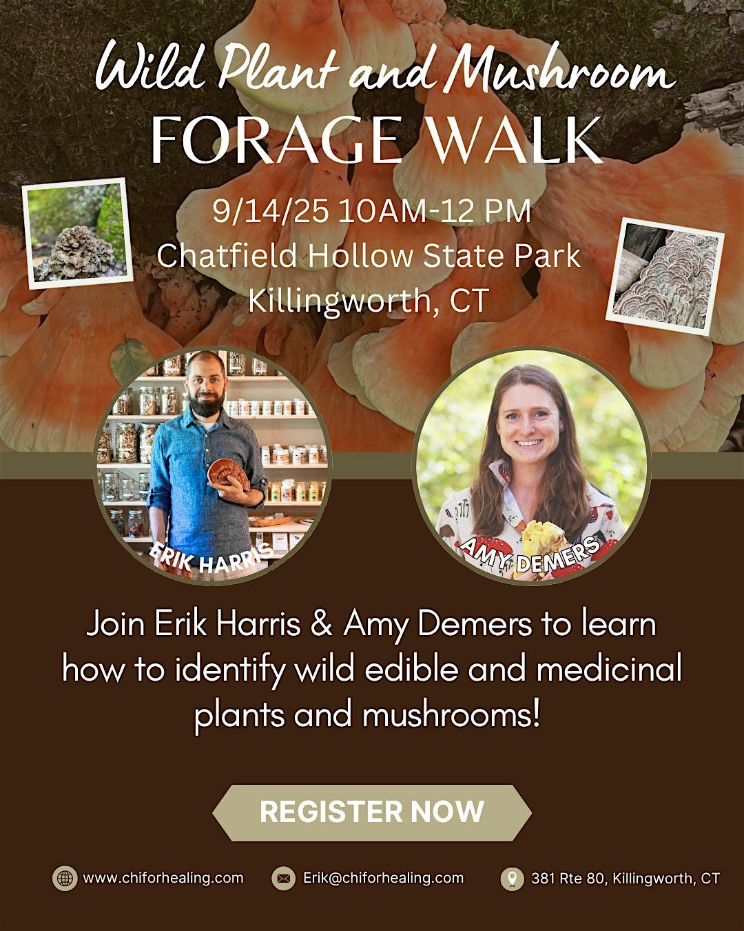 Forage walk-learn about fall wild, edible, and medicinal plants & mushrooms, 14 September | Event in Killingworth