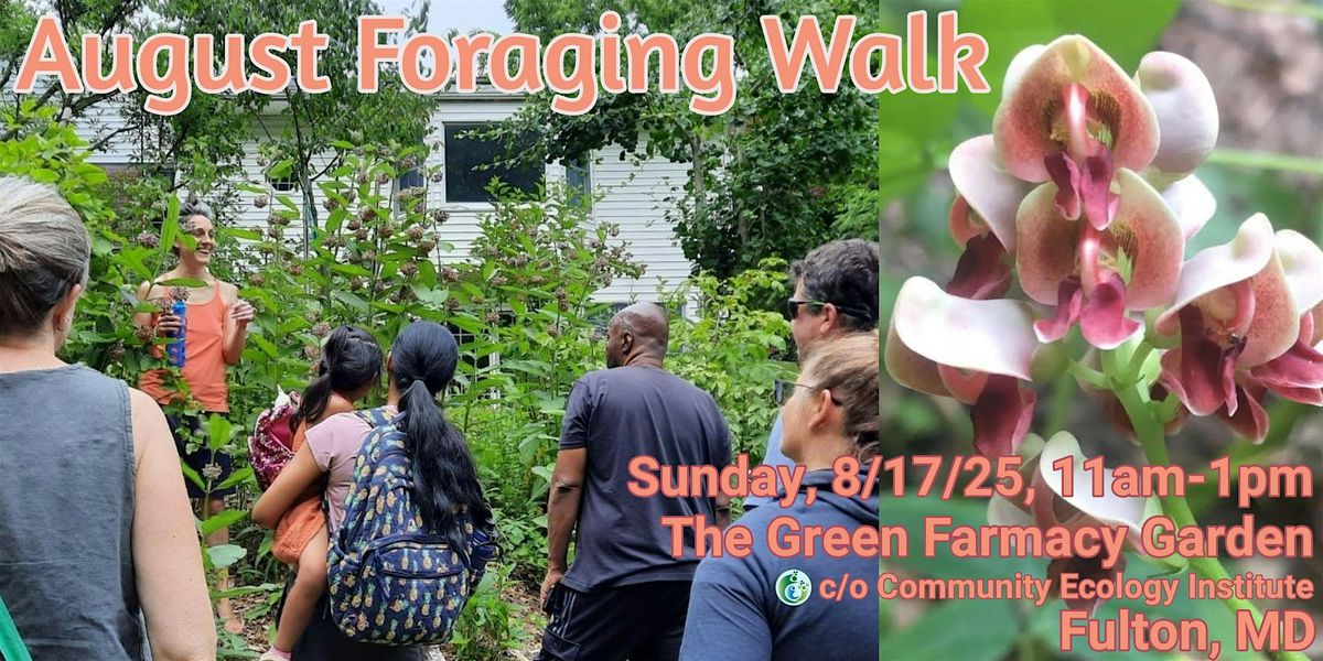 August Foraging Walk, 17 August | Event in Fulton | AllEvents