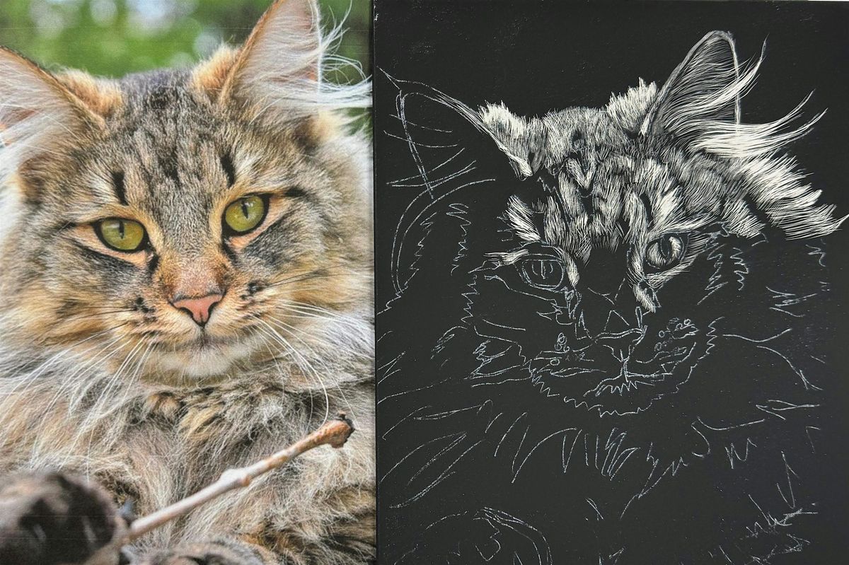 Scratchboard, 4 June | Event in Camas | AllEvents