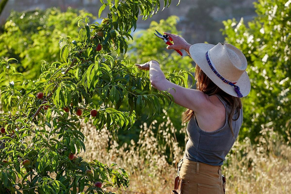 Fruit Trees and California Native Plants: Landscaping Together | Event in Sun Valley | AllEvents