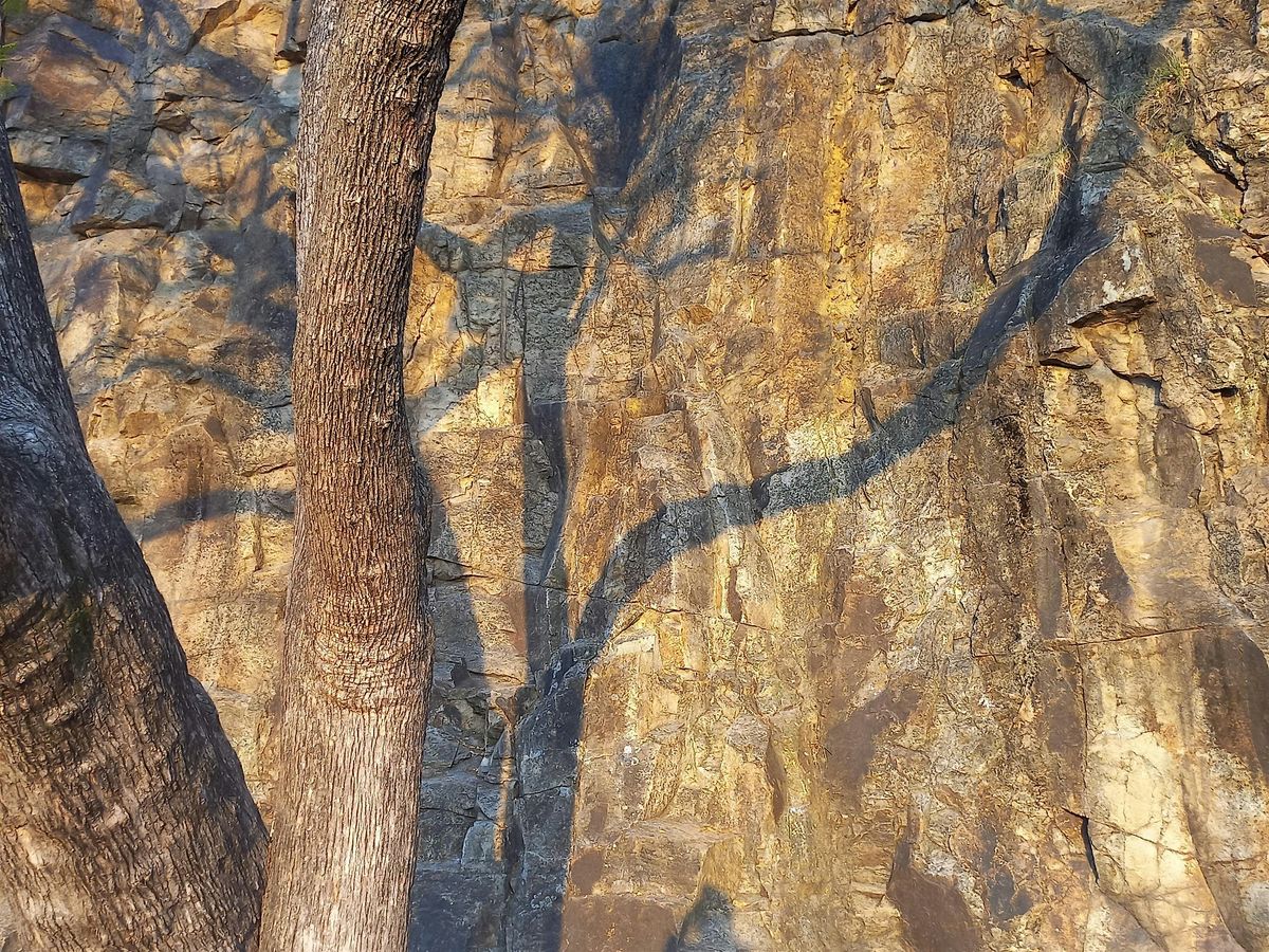 A Wild Deepening: Using Repetition in Poetry, 12 October | Event in Edinburgh | AllEvents