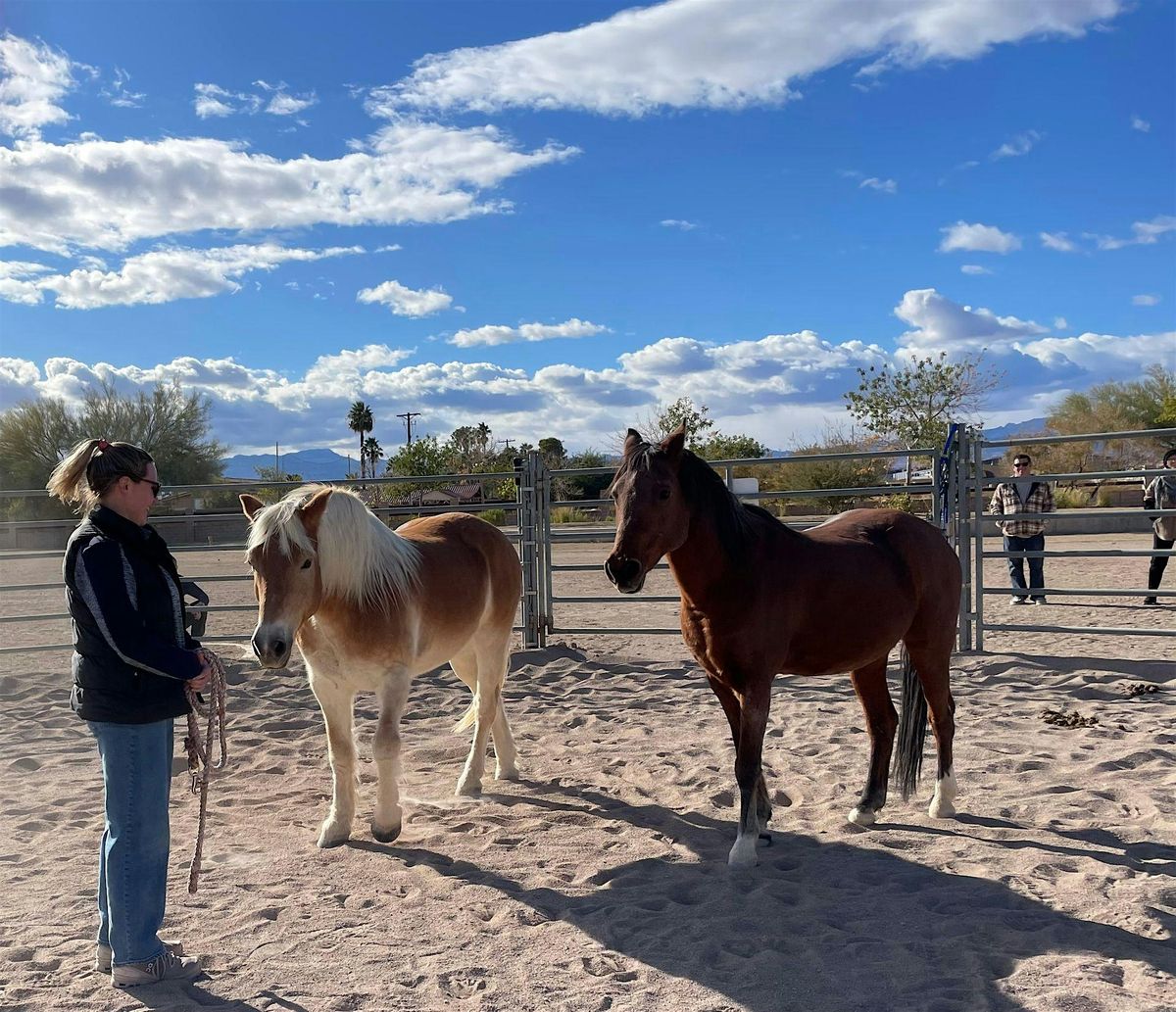 The STABLE Series: Equine Therapy Exercises & Arena EMDR, 16 August | Event in Las Vegas | AllEvents