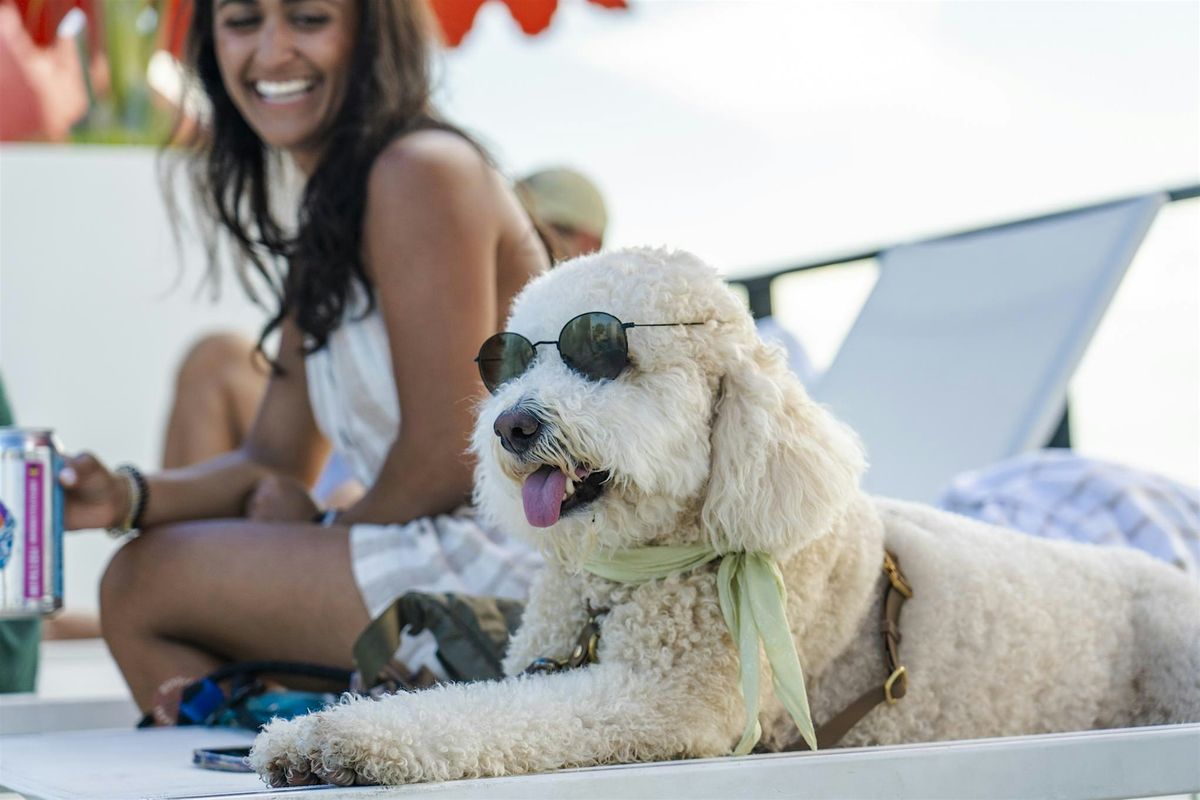 Howl-o-ween Dog Costume Contest at Higher Ground, 25 October | Event in Miami | AllEvents