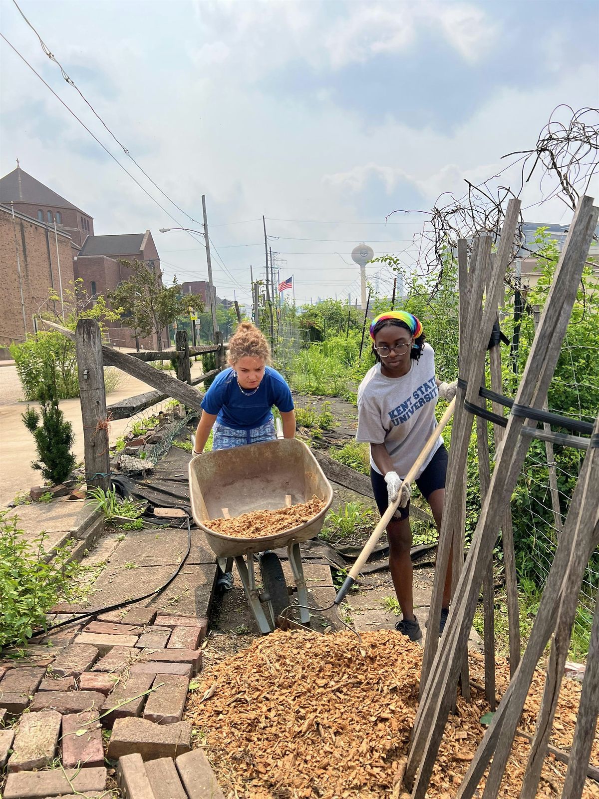 Monthly Volunteer Project at Braddock Farms, 23 August | Event in Braddock | AllEvents
