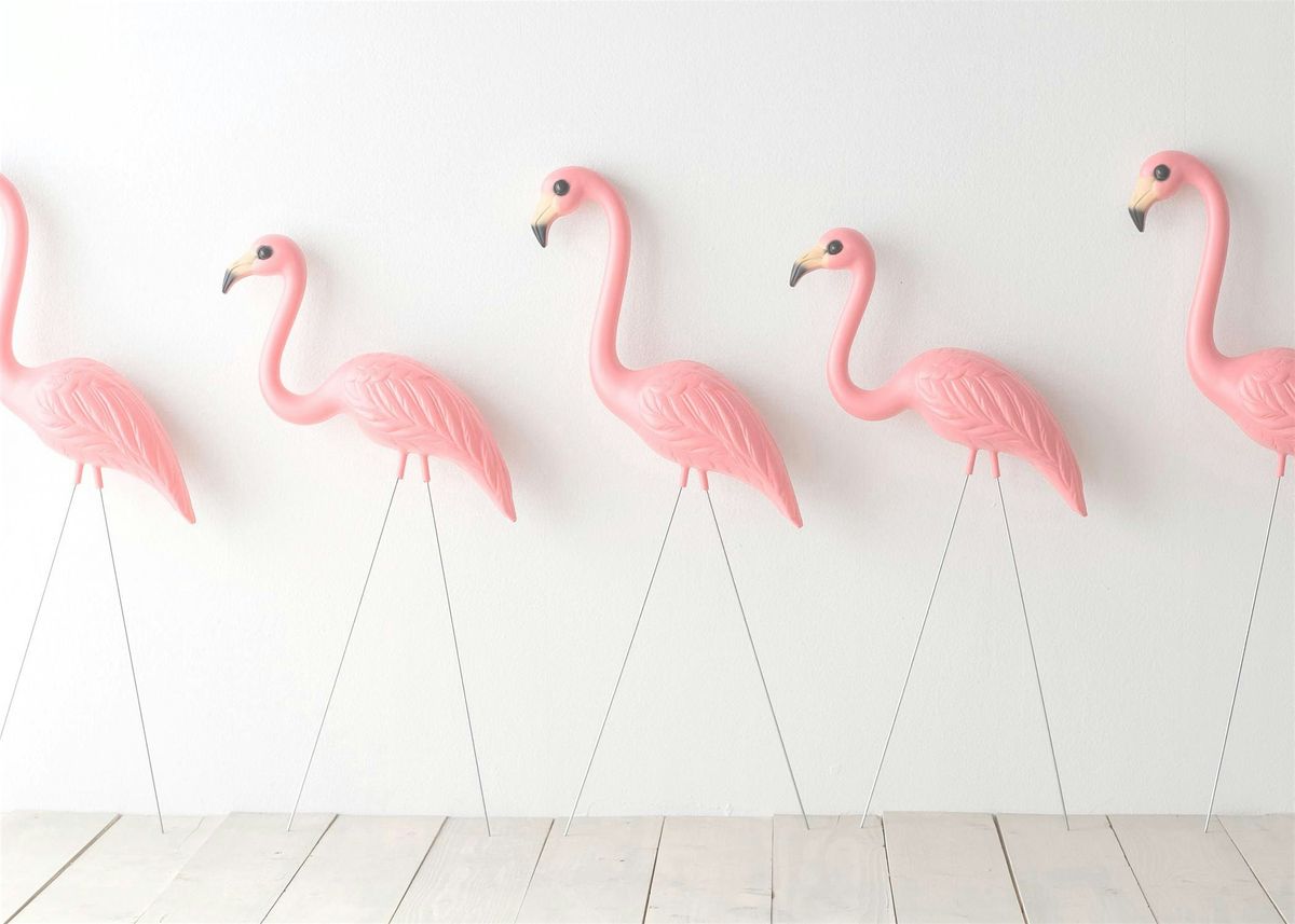 Follow the Flock - Paint and Sip, 28 August | Event in Boca Raton | AllEvents