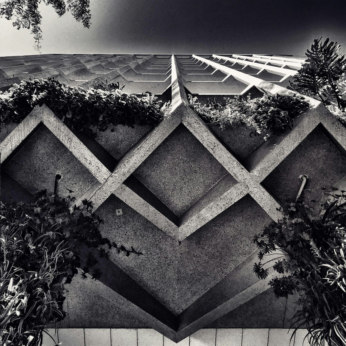 Brutalist Adelaide Walking Tour | 26 Oct 11am, 26 October | Event in Adelaide | AllEvents