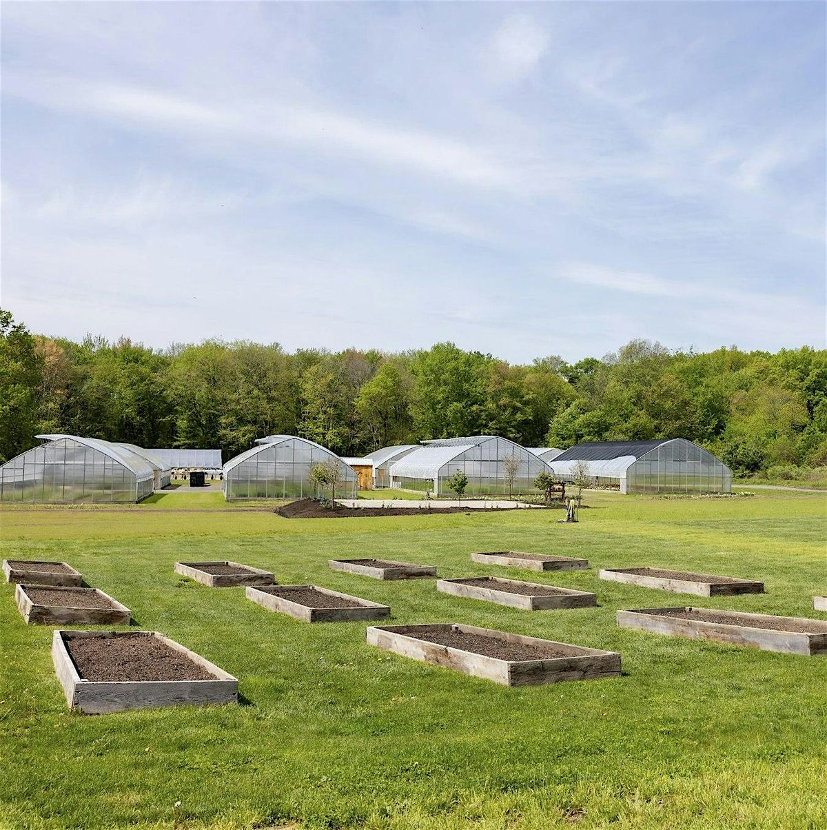 Yoga in the Fields | Event in Agawam | AllEvents
