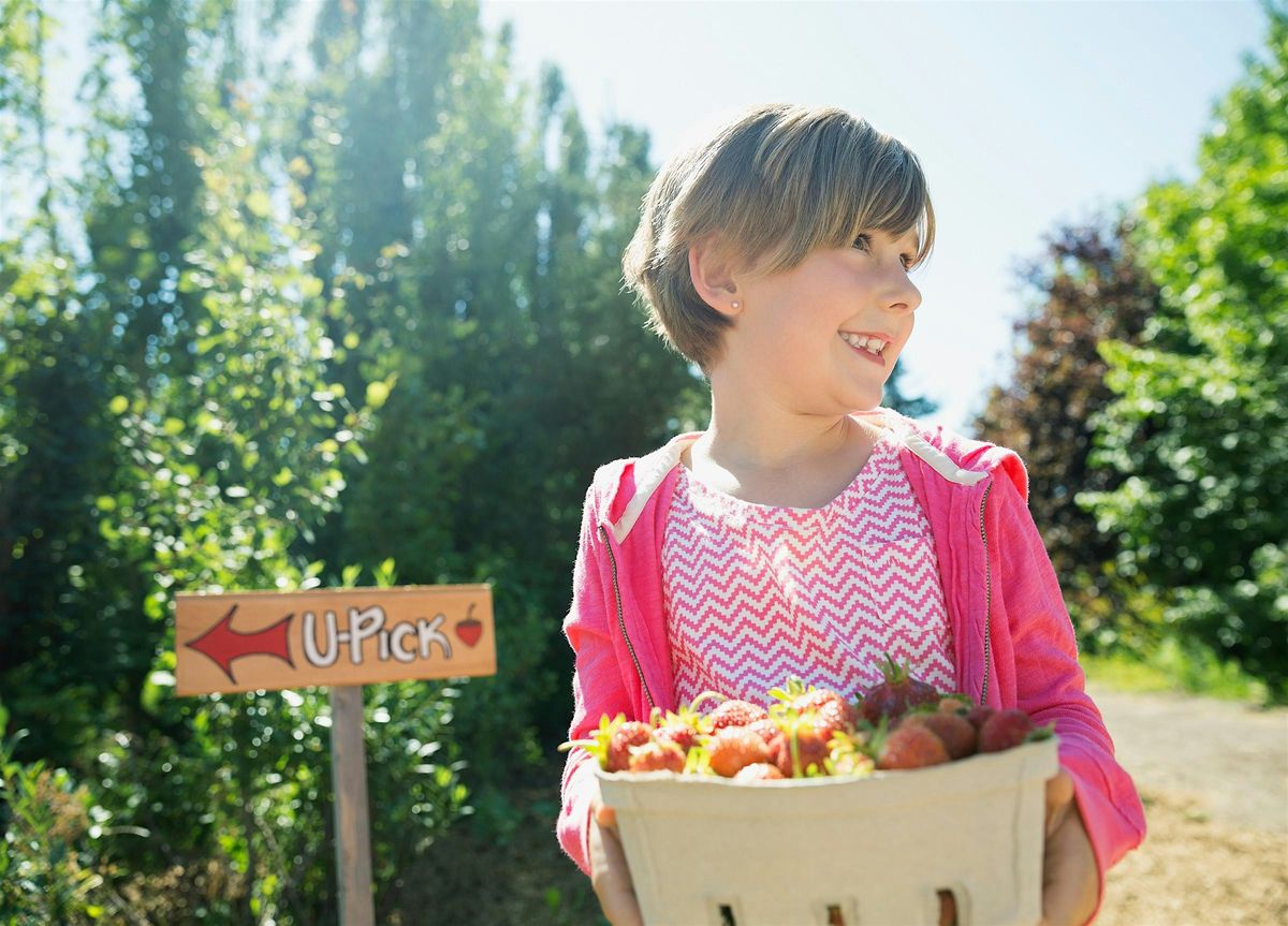 Fresh Market Friday, 5 August | Event in Pinellas Park | AllEvents