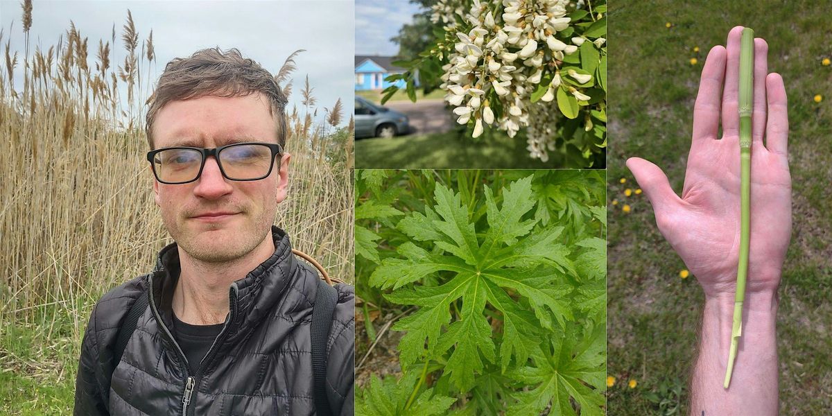 Foraging Walk in Washington Park, 14 June | Event in Chicago | AllEvents