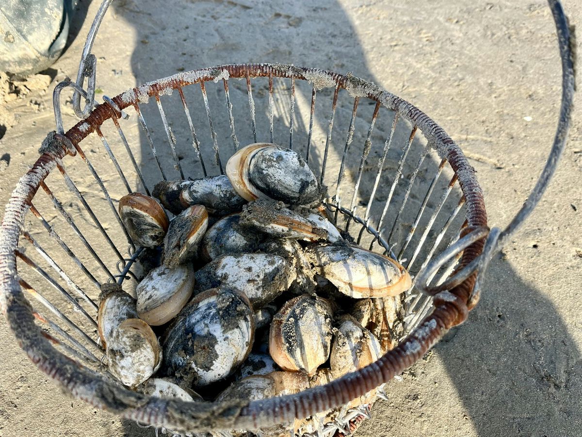 Clamming the South River, 29 November | Event in Scituate | AllEvents