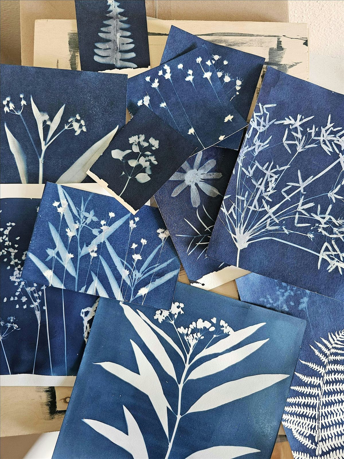 Crafts + Drafts - Botanical Cyanotype Prints, 20 July | Event in Pensacola | AllEvents