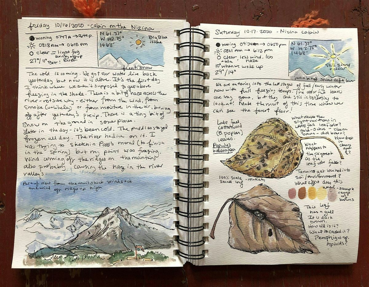 Mindful Nature Journaling: Discovering Yourself Through Nature’s Wisdom, 28 August | Event in Alexandria