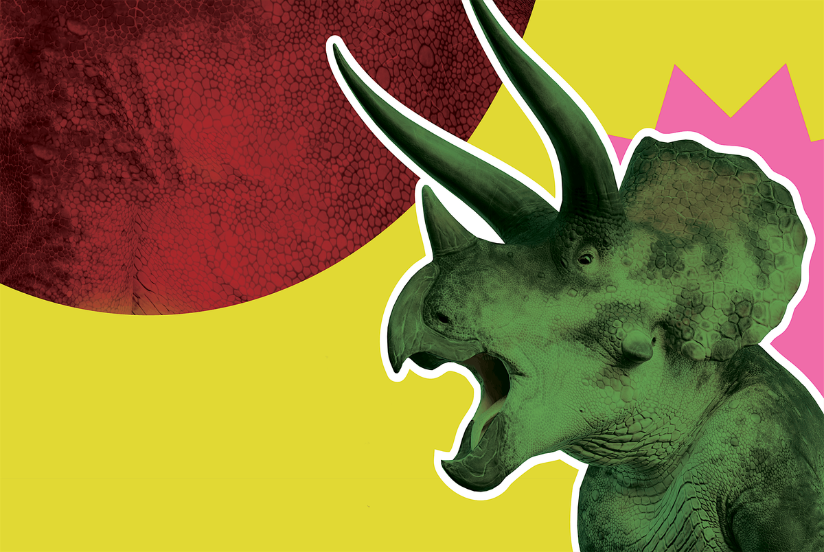 Triceratops Uncovered, 24 October | Event in Manchester | AllEvents