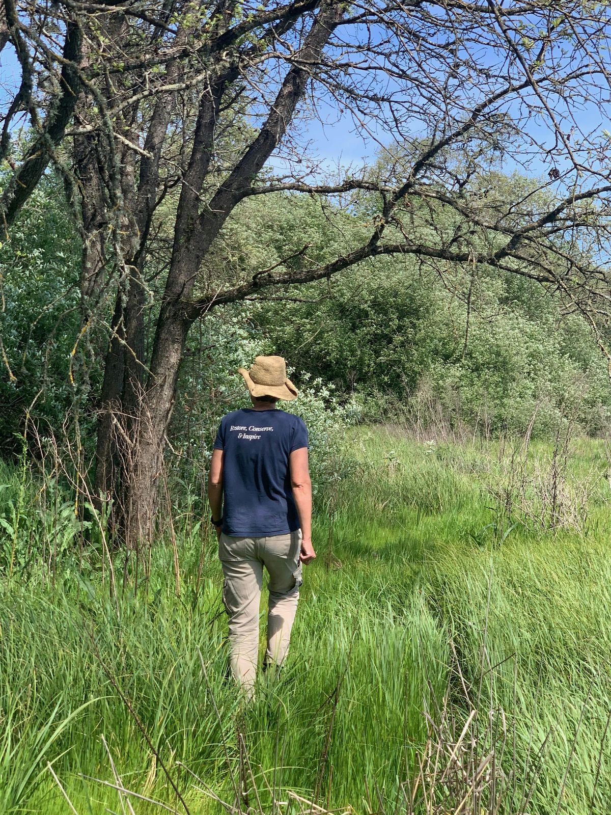 Laguna Stewards End of Season Work Party | Event in Santa Rosa | AllEvents