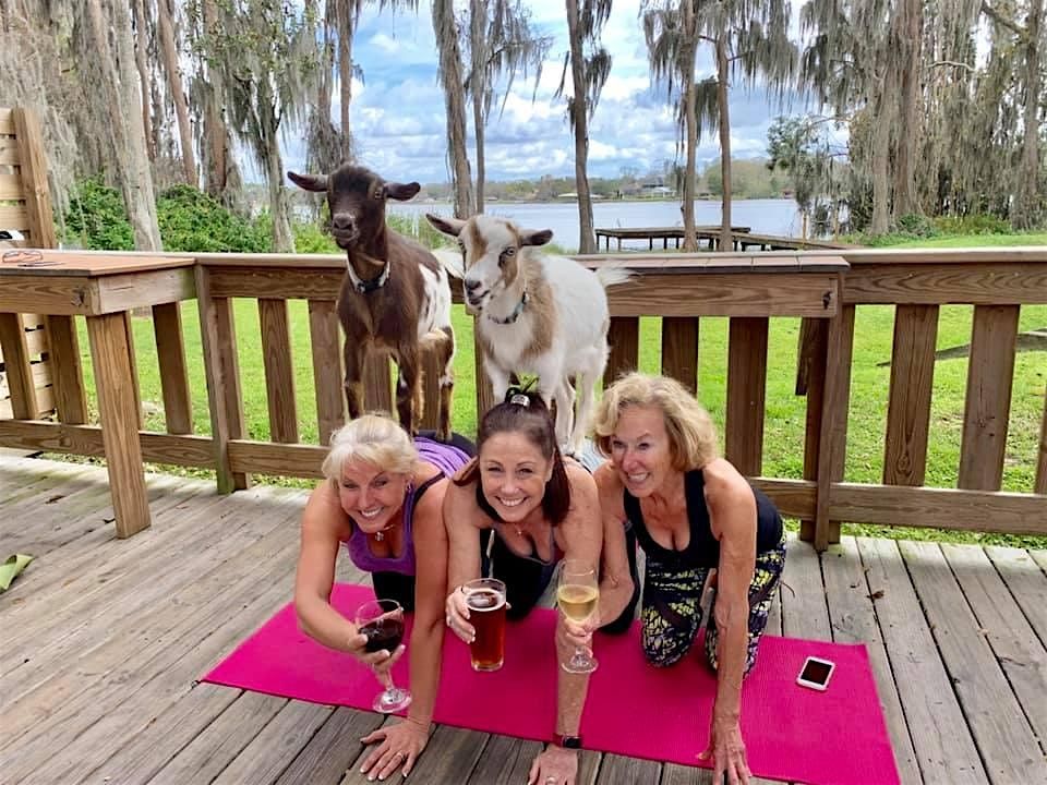 Goat Yoga Tampa lakeside @ In the Loop Brewing in Land O Lakes; 10/26/25, 26 October | Event in Land O' Lakes