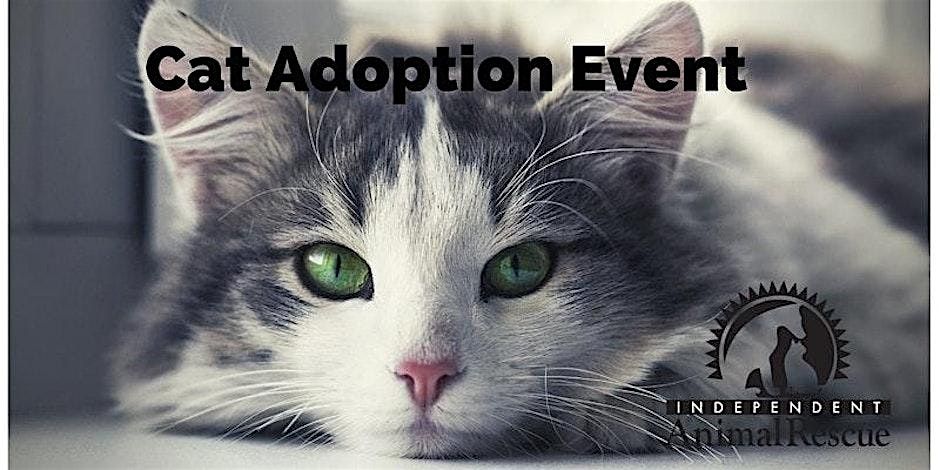 Adoption Event with Independent Animal Rescue, 13 July | Event in Chapel Hill | AllEvents
