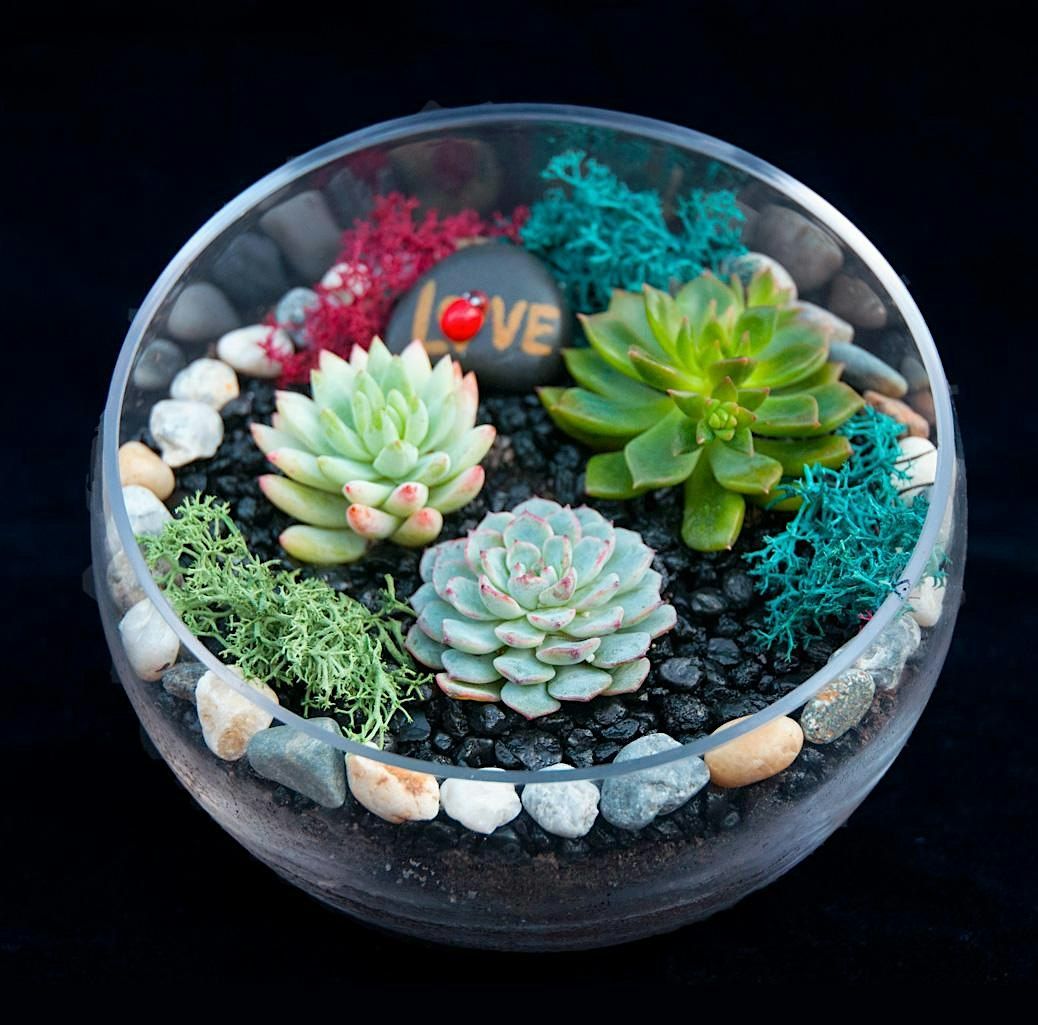 Family Plant Party: Make a Succulent Terrarium, 14 May | Event in Mississauga | AllEvents