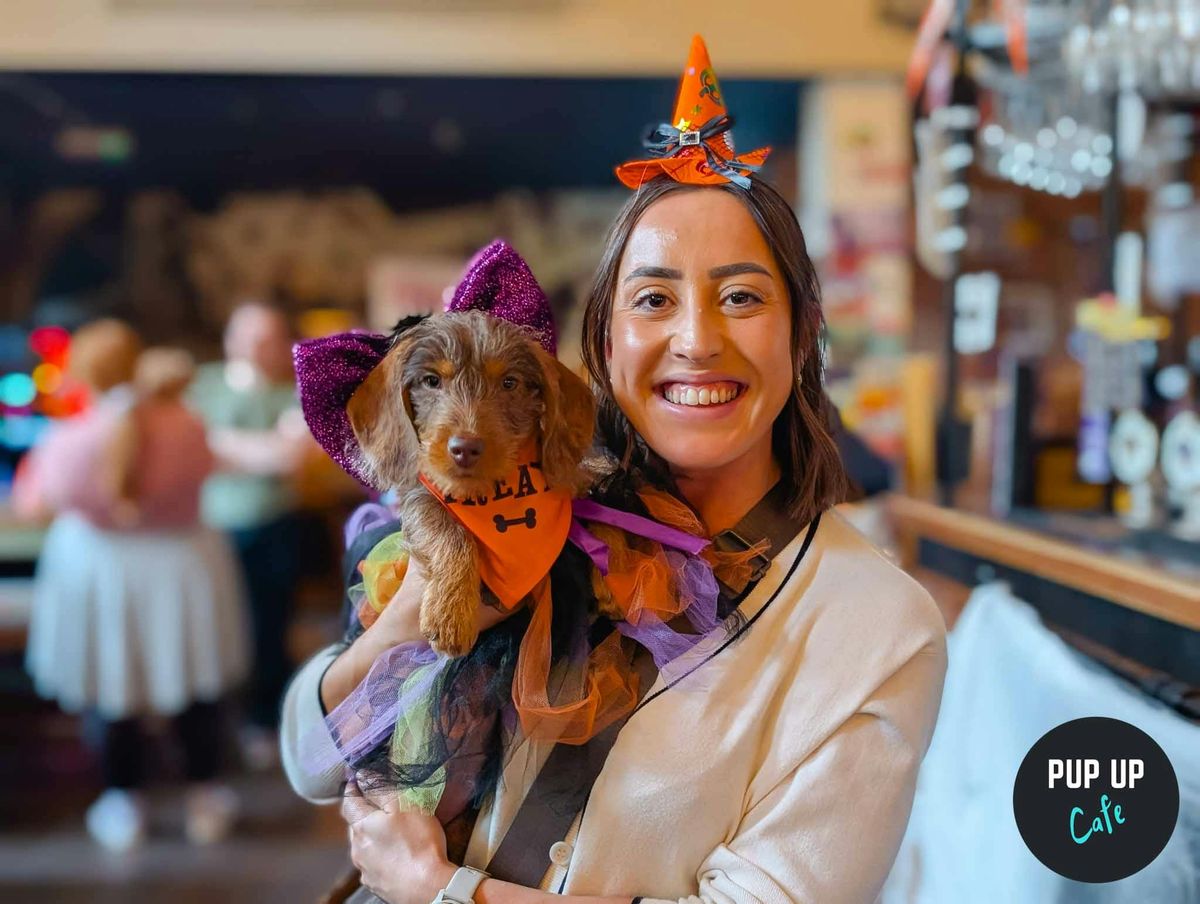  Halloween Dachshund Pup Up Cafe - Cardiff 🎃, 25 October | Event in Cardiff | AllEvents
