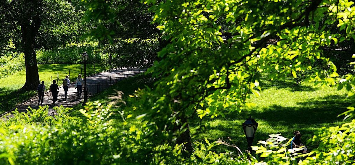July Weekly NYRR Striders Walking Group IN-PERSON PROGRAM, 3 July | Event in New York | AllEvents
