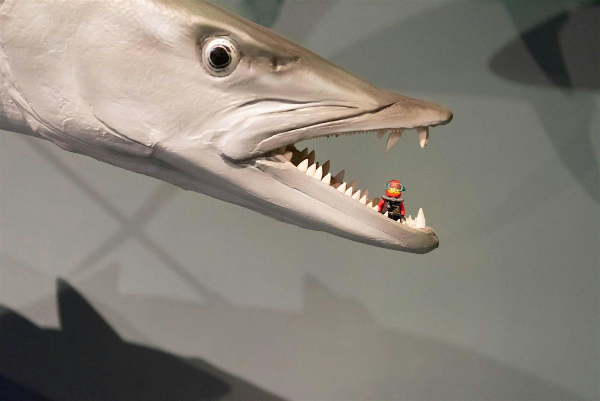 Search | LEGO® Minifigures Let Loose at MAGNT!, 13 December | Event in Darwin City | AllEvents