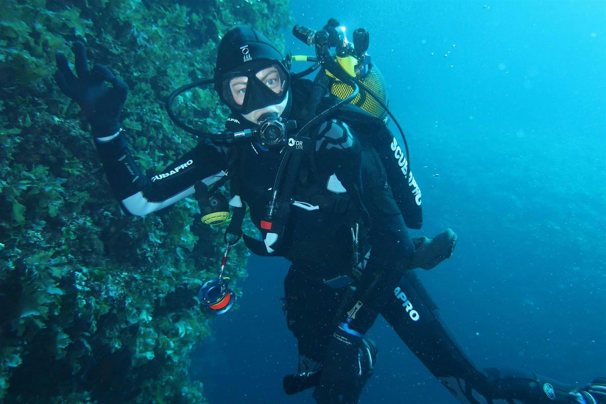 Try a Dive | Event in Dublin | AllEvents