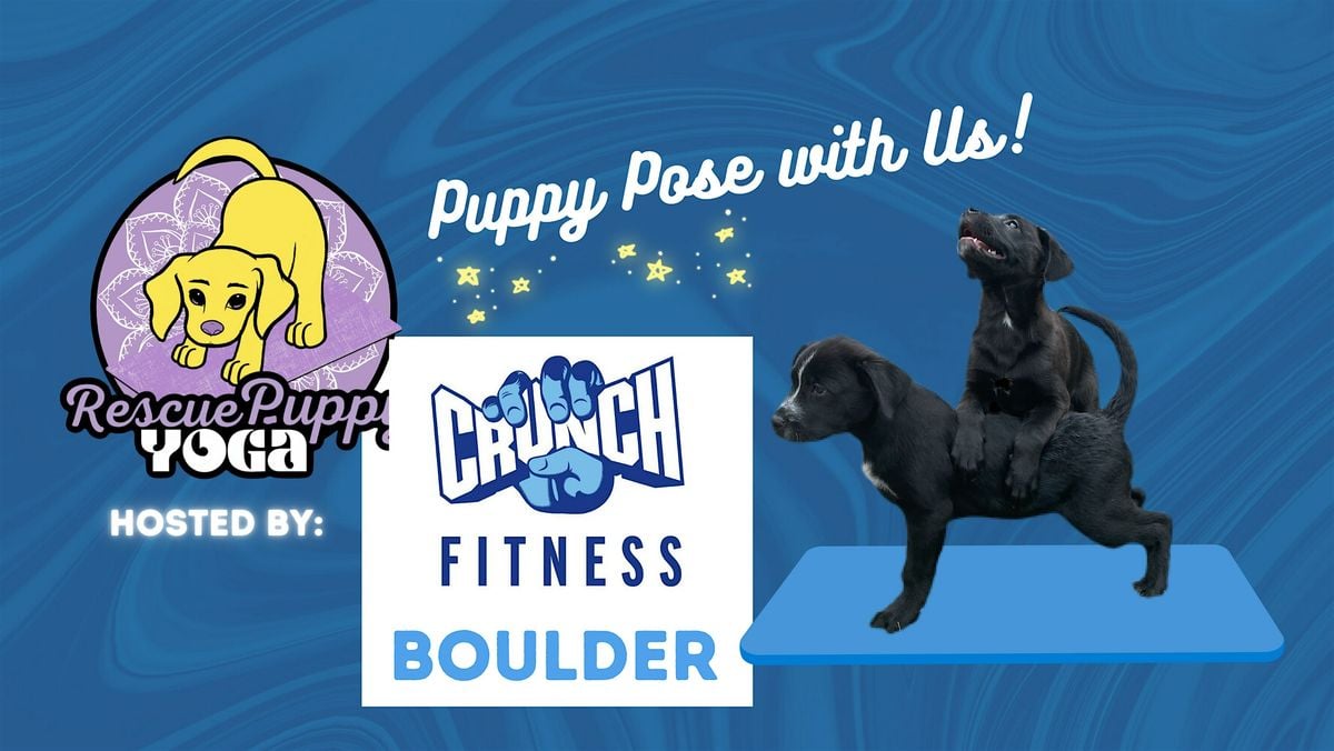 Rescue Puppy Yoga - Crunch Fitness Boulder, 17 August | Event in Boulder | AllEvents