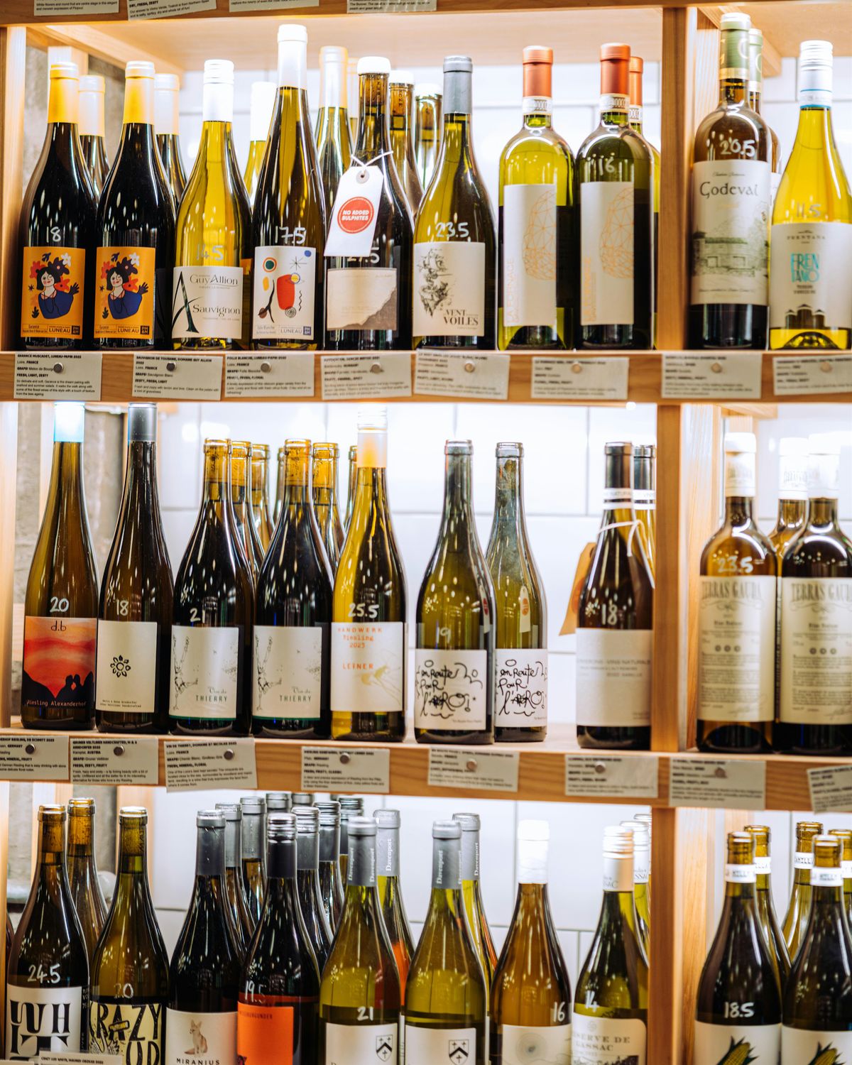 Member Only Drinks and Canapés, 20 November | Event in Hotwells | AllEvents