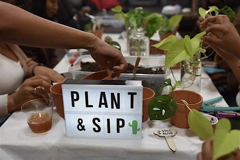 Plant & Vibe, 26 October | Event in Smyrna | AllEvents