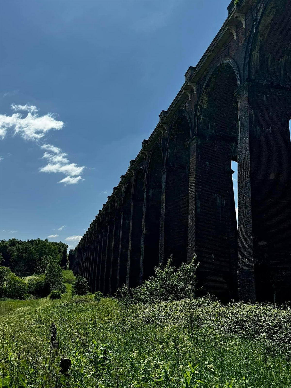 Scenic hike through Ardingly Reservoir, Balcombe Lake and Ouse Valley Viaduct, 25 October | Event in London