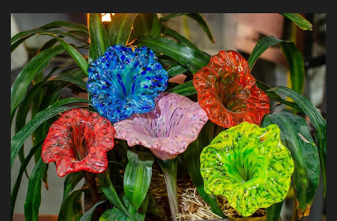 Plant-Watering Stakes! Beyond just pulled flowers. Your plants need these!, 10 May | Event in Indianapolis