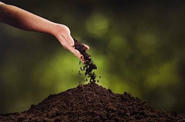A Greener Goodbye: Exploring Eco-Friendly Burial Options, 1 November | Event in Albany | AllEvents