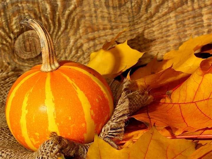 Harvest Your Business - Owners engaging with owners, 11 November | Event in Cary | AllEvents