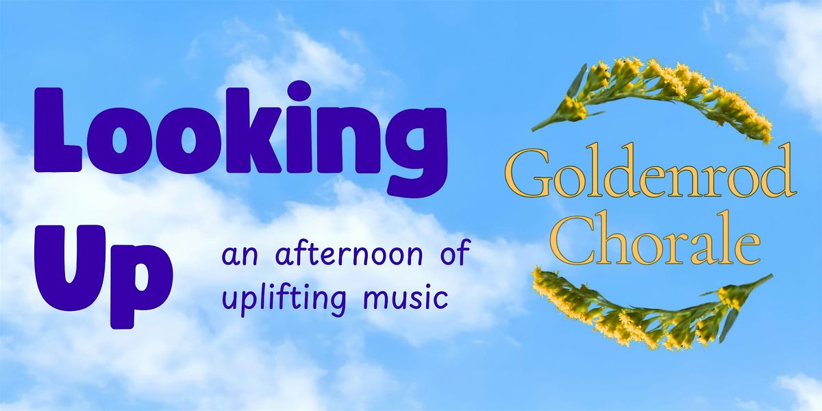 Looking Up | Event in Hoboken | AllEvents