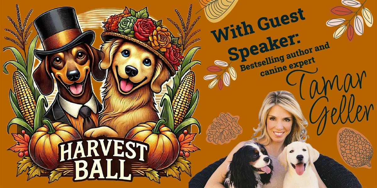 Arts for Carts 2025: Harvest Ball - Benefiting Special Needs Dogs, 4 October | Event in Orlando | AllEvents