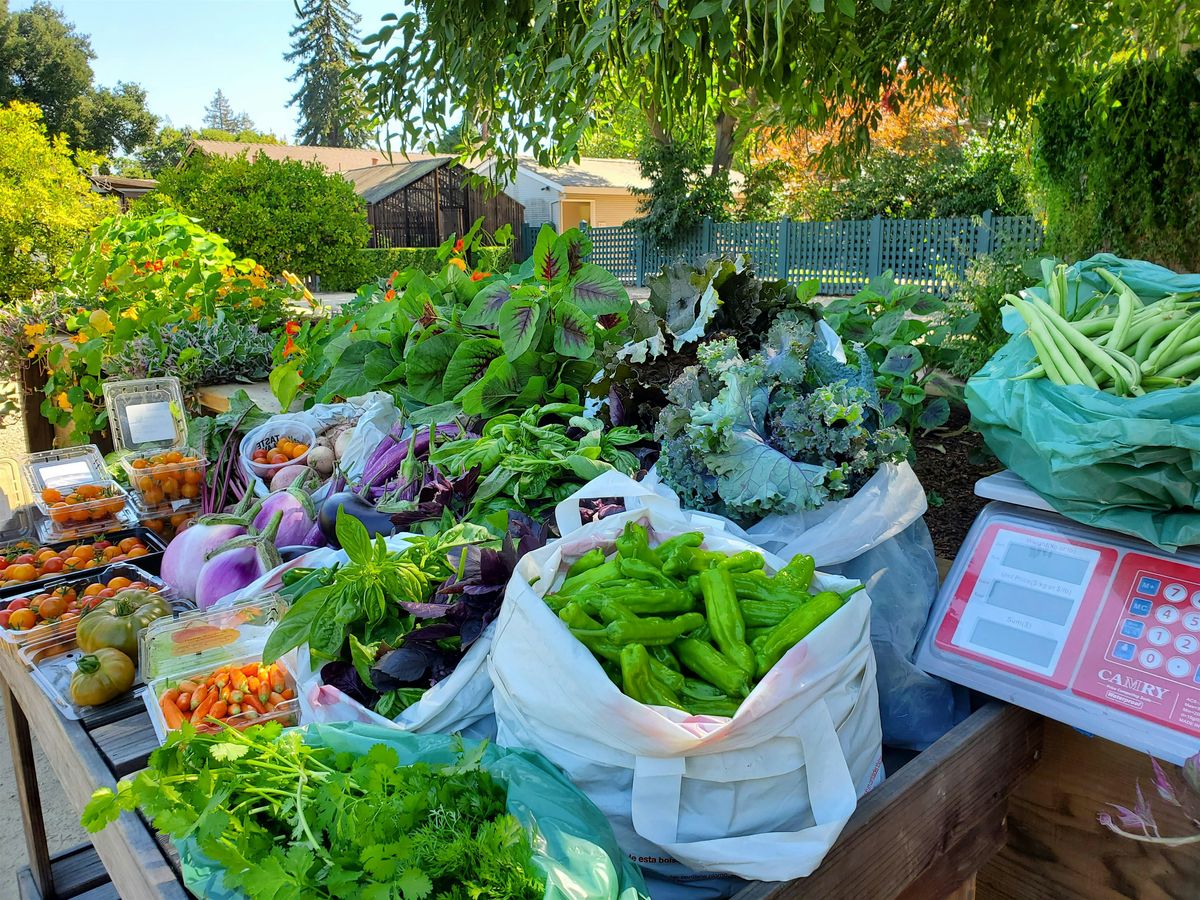 September Tour of Elizabeth Gamble Garden, 16 September | Event in Palo Alto | AllEvents