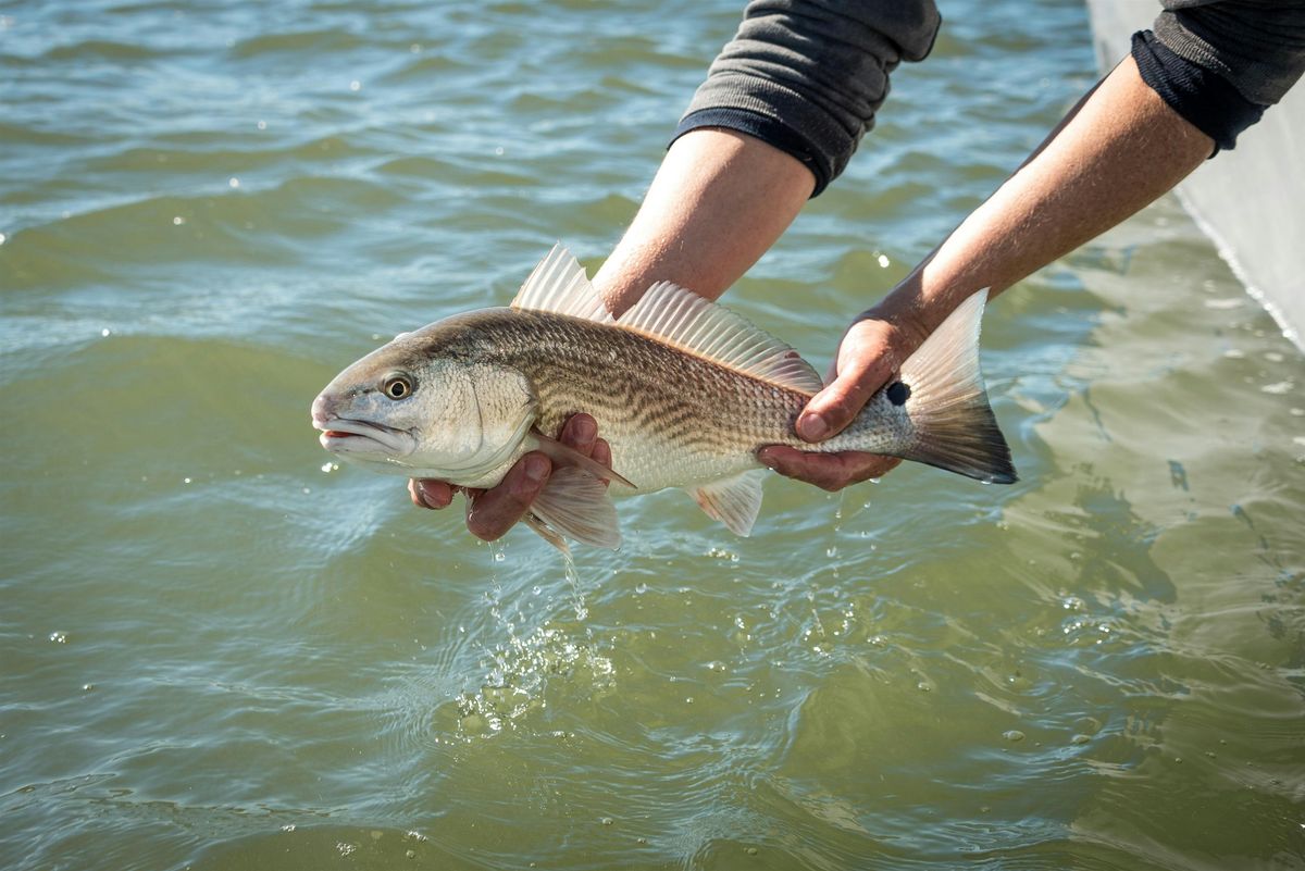 High School: Marine Fisheries | Event in Charleston | AllEvents