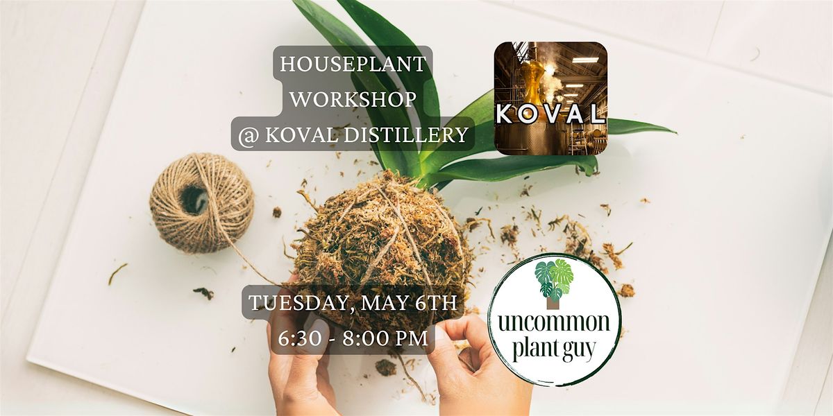 Houseplant Workshop @ KOVAL | Event in Chicago | AllEvents