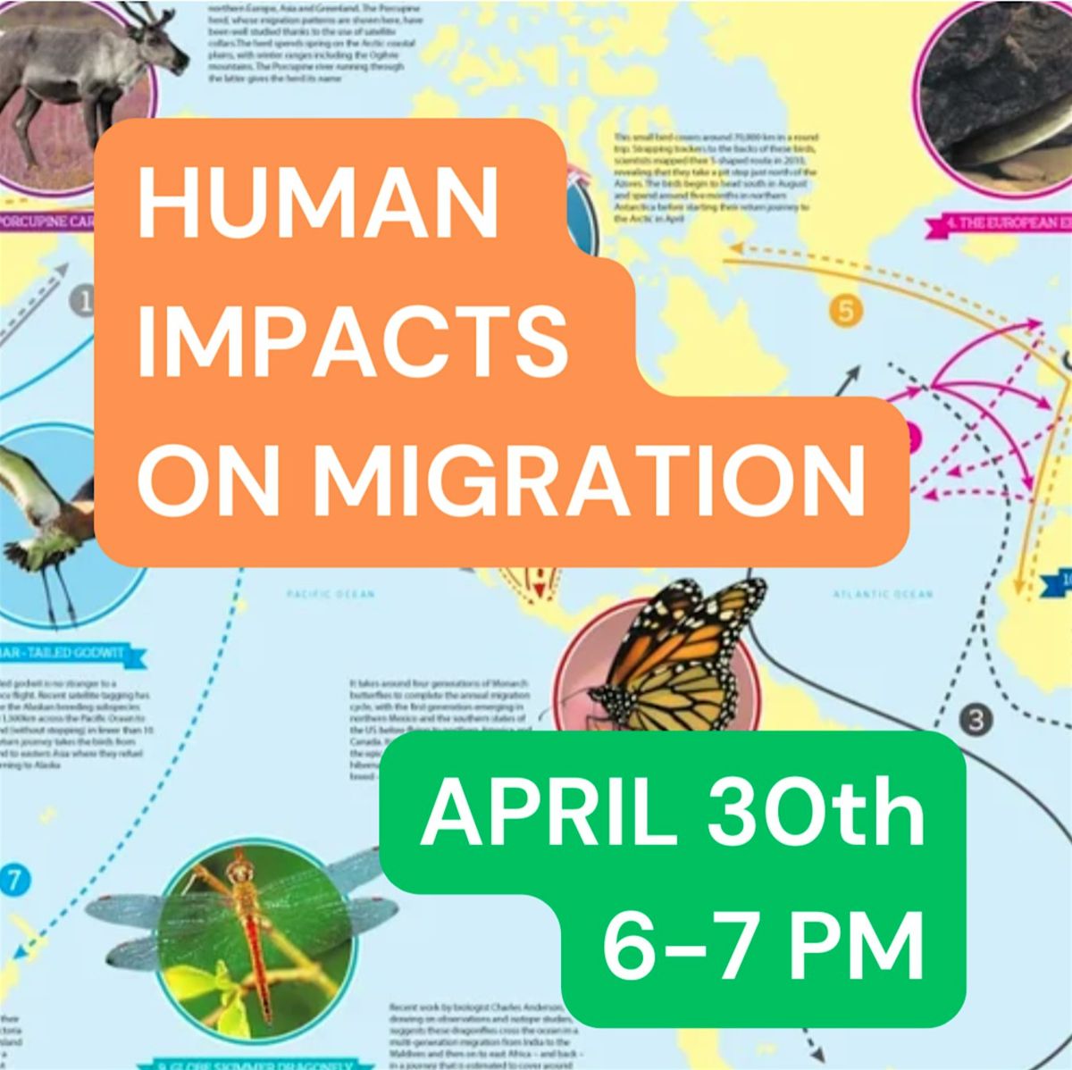 Human Impact on Migrating Animals-Talk | Event in Queens | AllEvents