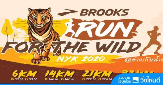 brooks run for the wild 2020