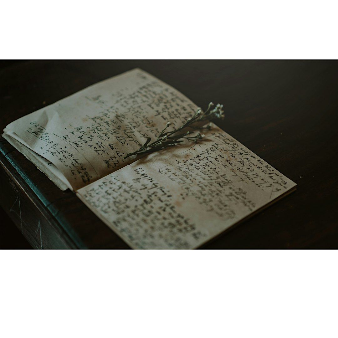 Field Journaling - Adult program, $4 cash per person upon arrival, 20 September | Event in Kings Park | AllEvents