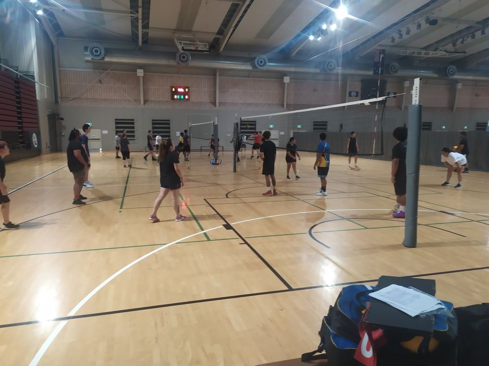 Social Volleyball Games Logan Metro **ALL Levels**, Logan Metro