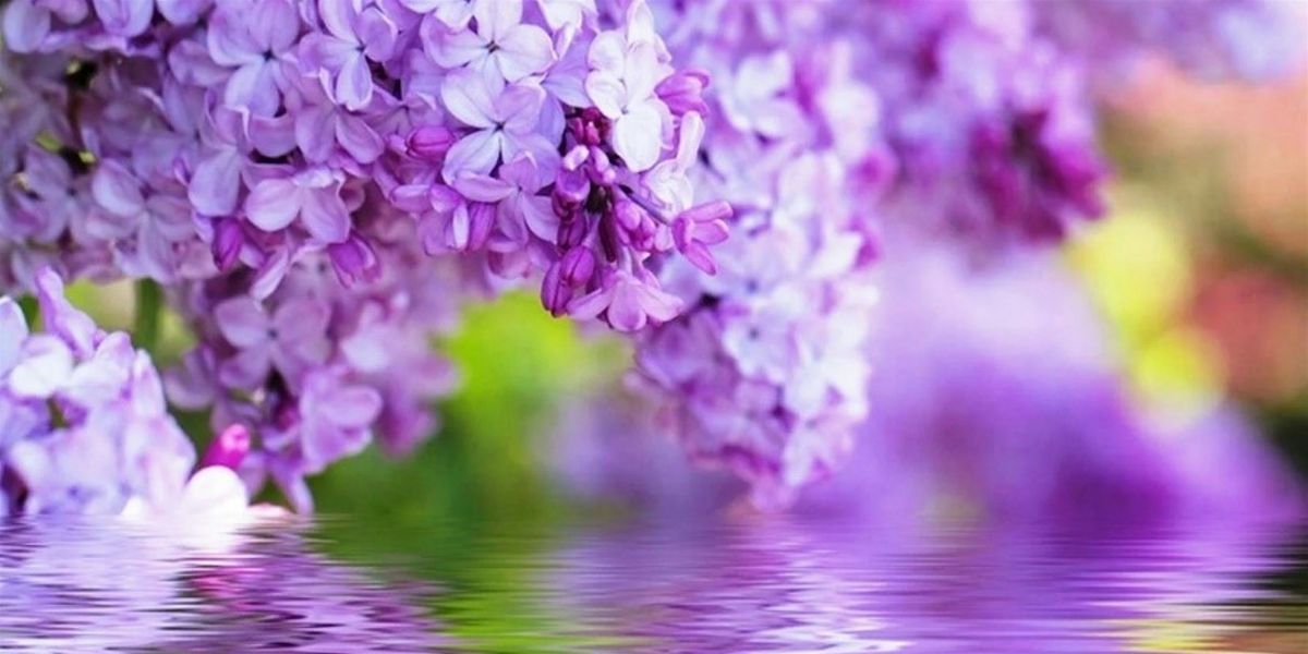 Living with Grief session - for early bereavement needs, 27 May | Event in Norwich | AllEvents